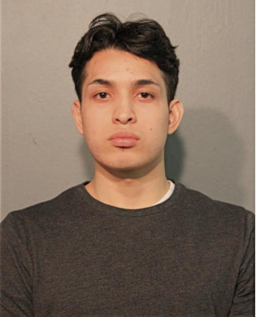 BRIAYAN J REMIGIO, Cook County, Illinois
