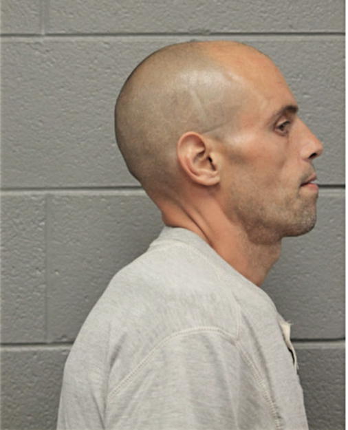 ROBERT H RICE, Cook County, Illinois