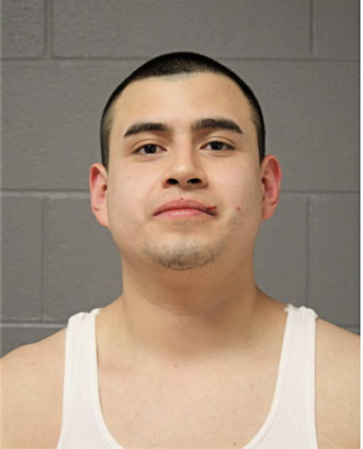 LUCAS ROCHEL, Cook County, Illinois