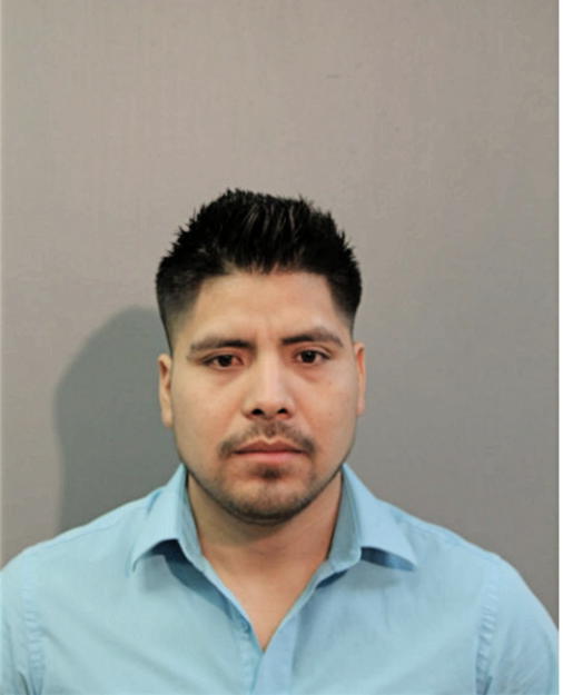 HUGO SANCHEZ, Cook County, Illinois