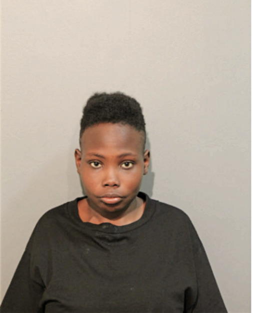 MEGAN C THOMAS, Cook County, Illinois