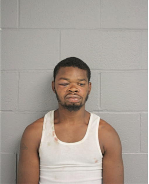 JOSHUA A TURNER, Cook County, Illinois