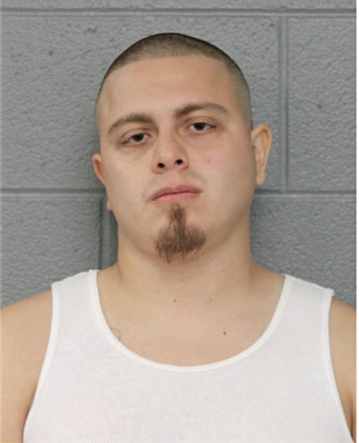 GILBERTO VIZCARRA, Cook County, Illinois