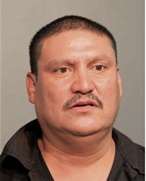 JULIAN ALVAREZ-SILVA, Cook County, Illinois