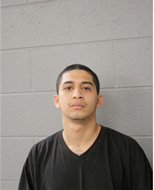 JULIO L ANGEL, Cook County, Illinois