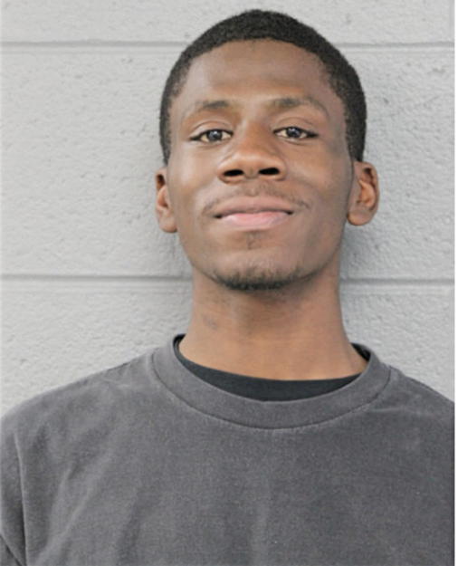 LOVELL S BLIZZARD, Cook County, Illinois