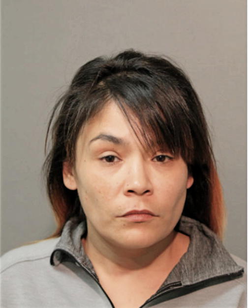 TANYA L CAMACHO, Cook County, Illinois