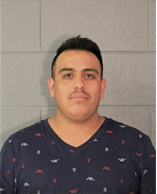 TOMAS CELIS, Cook County, Illinois