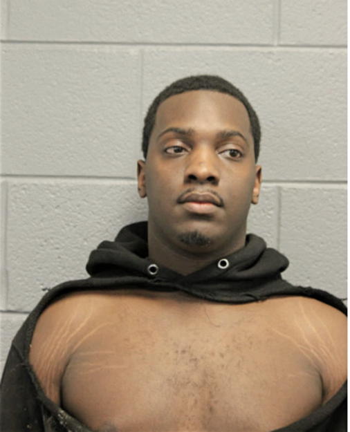 MICHAEL B DAVIS, Cook County, Illinois
