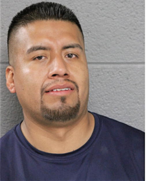 ANDRES GONZALEZ DIAZ, Cook County, Illinois