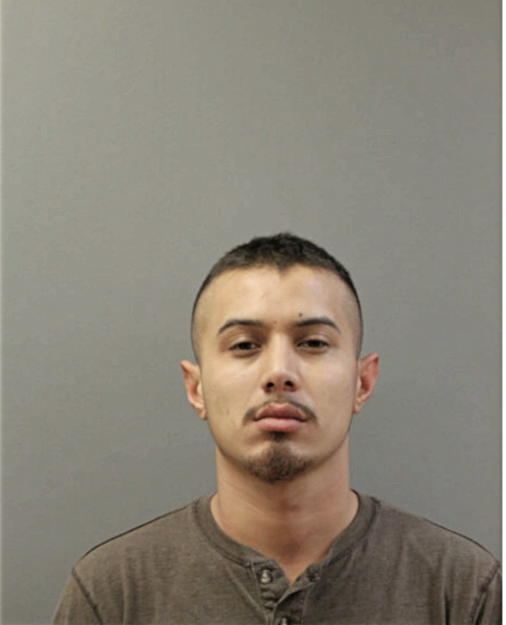 OMAR A DIAZ, Cook County, Illinois