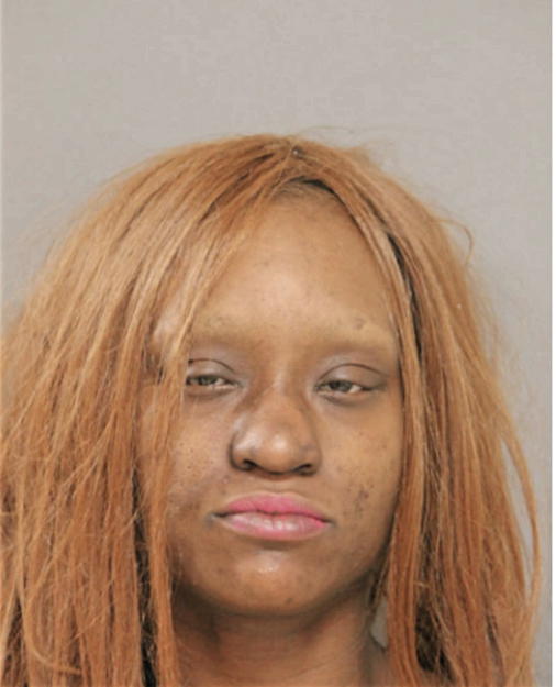 JENNIFER R DONELSON, Cook County, Illinois