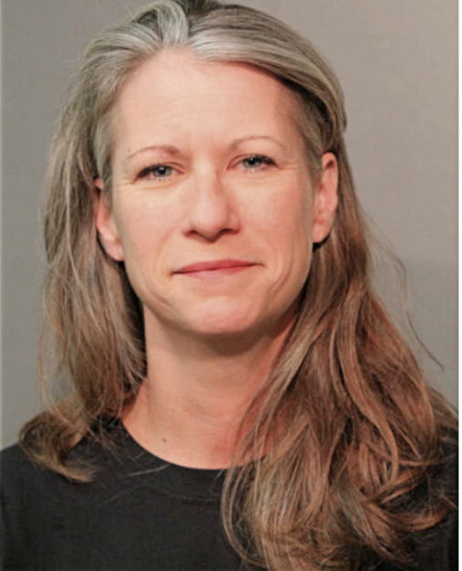 DENISE M DONOHUE, Cook County, Illinois