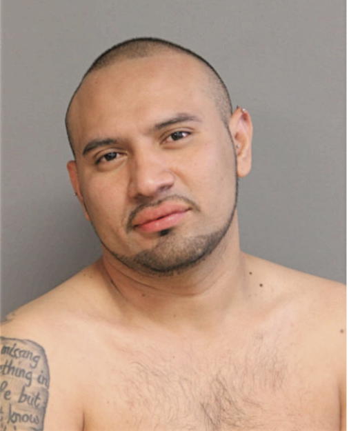 OSCAR GIOVANY ECHEVERRIA-SAGASTUME, Cook County, Illinois