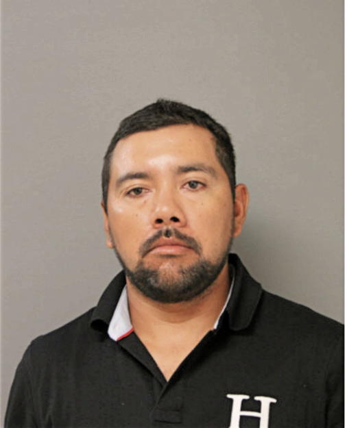 GONZALO GONZALEZ-FLORES, Cook County, Illinois