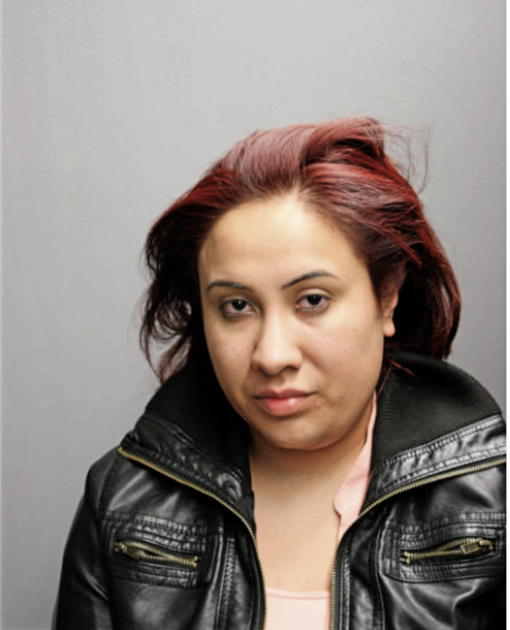 RUTH V GUEVARA, Cook County, Illinois