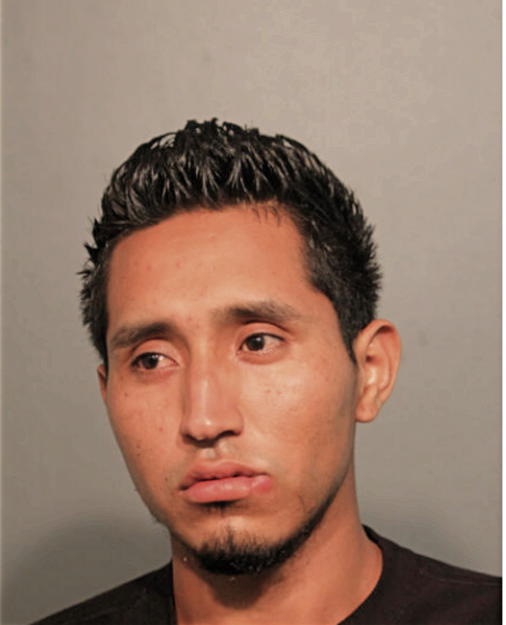 CARLOS H GUZMAN, Cook County, Illinois