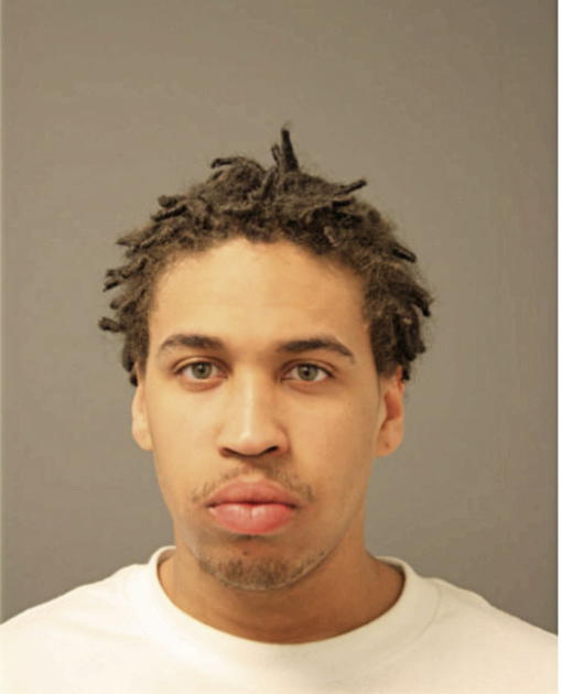 BRETT L HALL, Cook County, Illinois