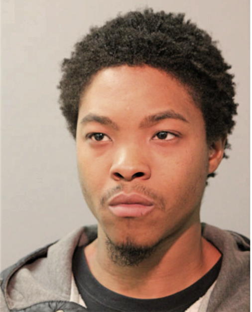 DARION HOLLIMAN, Cook County, Illinois