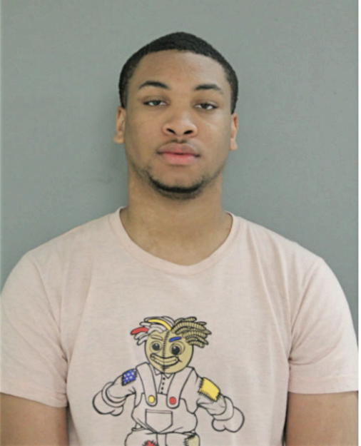 TERRANCE A JONES, Cook County, Illinois