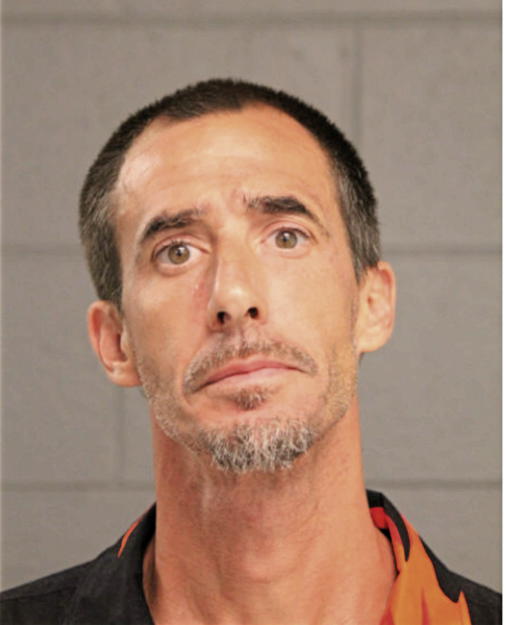 ROBERT B MCCLANAHAN, Cook County, Illinois