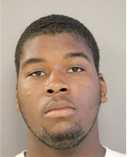 JUSTIN J MCROYAL, Cook County, Illinois