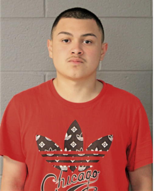 ANGEL MENDEZ, Cook County, Illinois