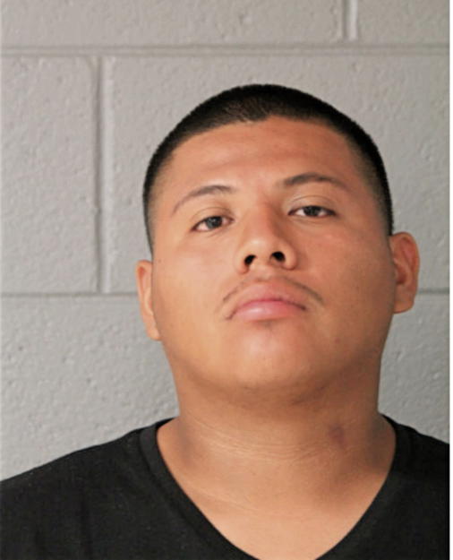 GABRIEL A MENDOZA, Cook County, Illinois