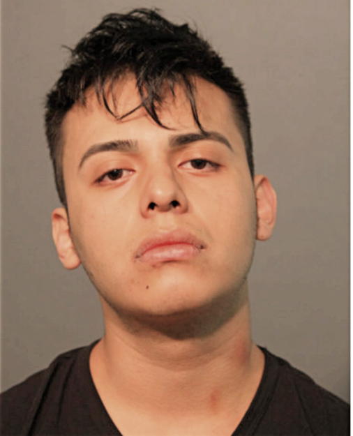 VLADIMIR MENDOZA, Cook County, Illinois
