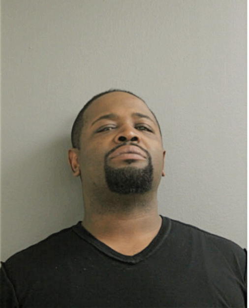 BRUCE L NEWELL, Cook County, Illinois