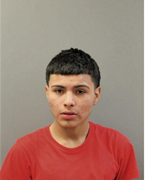 ERIC ORTIZ, Cook County, Illinois