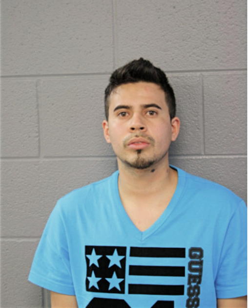 FERNANDO PULIDO, Cook County, Illinois