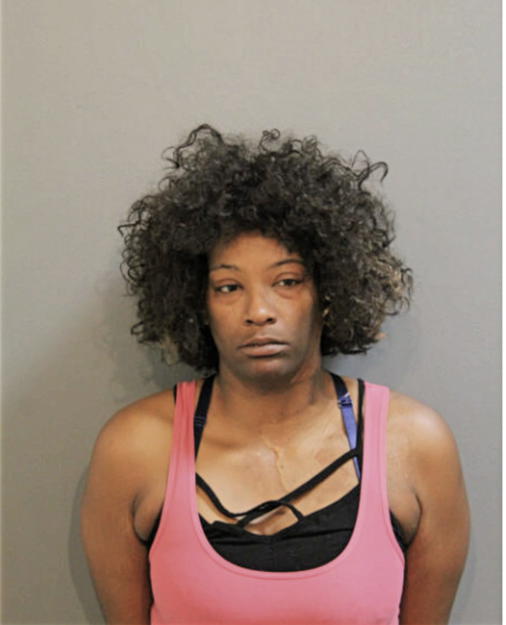 KRISTINA M ROSS, Cook County, Illinois