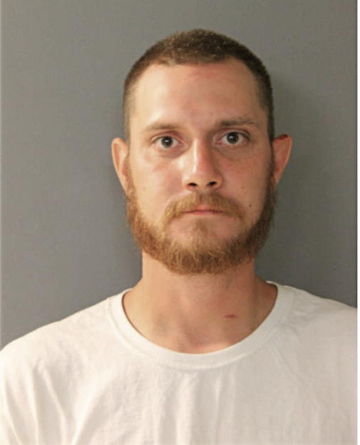 CHARLES L SEITZ, Cook County, Illinois