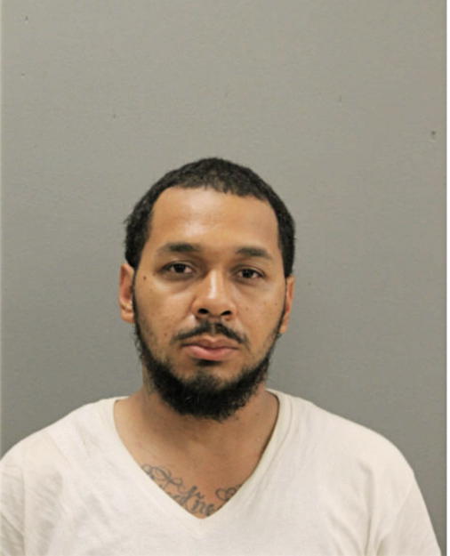 JULIAN C SHERMAN, Cook County, Illinois
