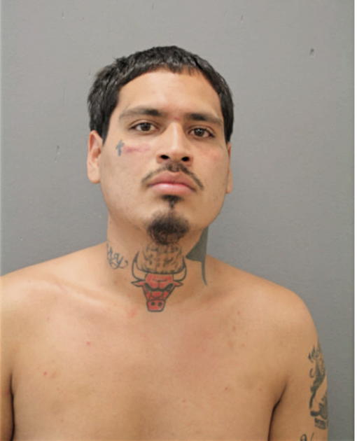 GENARO S SOTO-GREER, Cook County, Illinois