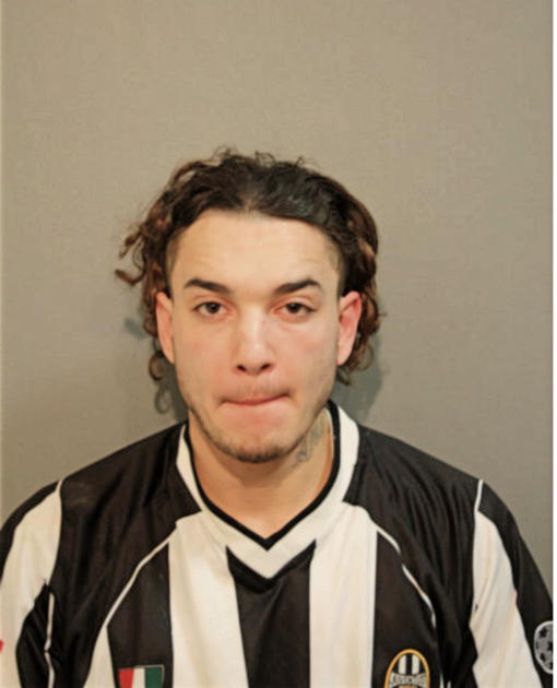 NELSON L VASQUEZ, Cook County, Illinois