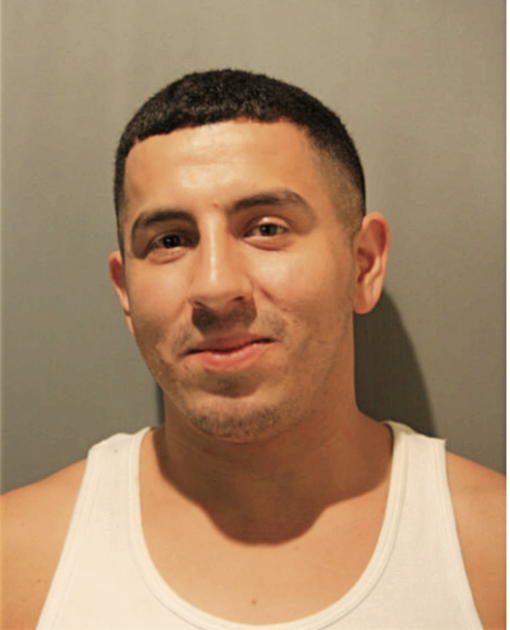 IGNACIO VILLA, Cook County, Illinois
