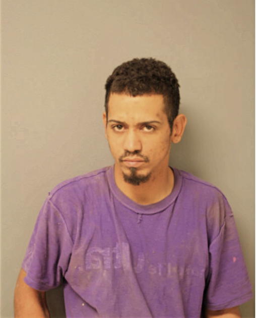 ANGEL R VILLEGAS, Cook County, Illinois