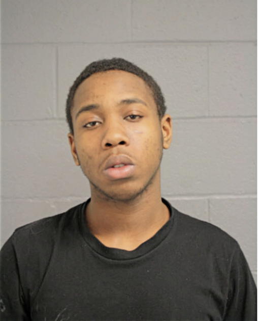 STEPHEN R WILLIAMS, Cook County, Illinois