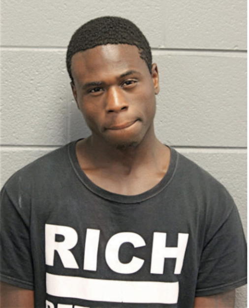 DAVID T YOUNG JR, Cook County, Illinois