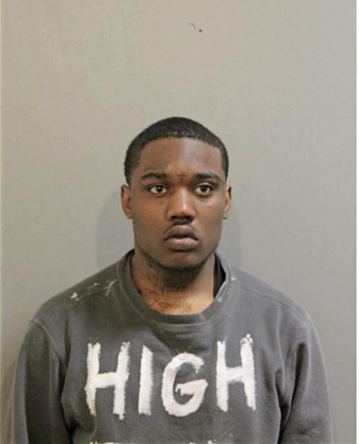 JOHNNY S ANDERSON, Cook County, Illinois
