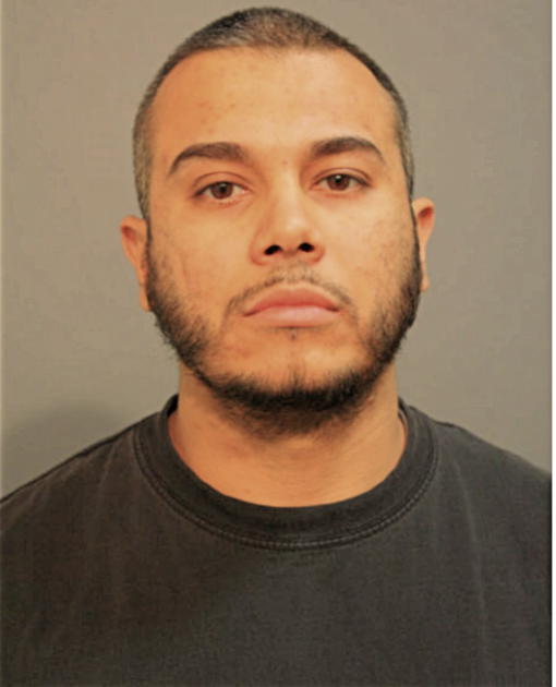ROBERT D AVALOS, Cook County, Illinois