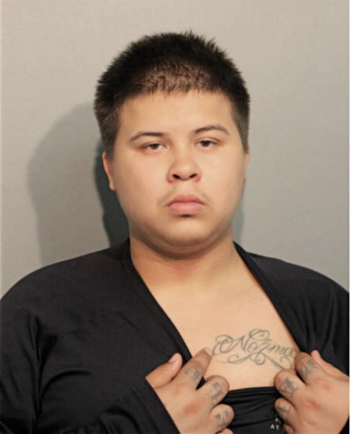 BRANDON DZIUBANEK, Cook County, Illinois