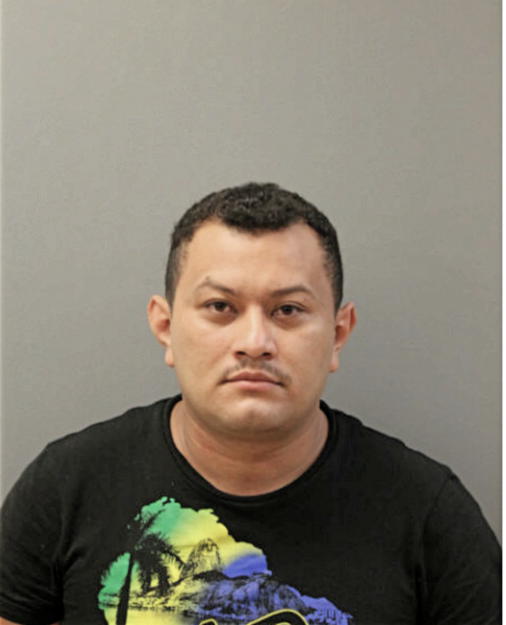 HECTOR D FLORES, Cook County, Illinois