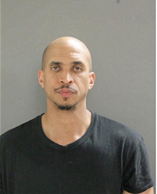 DAVID E FREEMAN, Cook County, Illinois