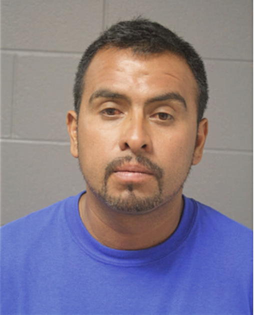 JULIO GONZALEZ, Cook County, Illinois