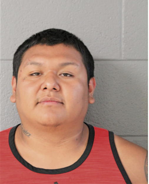 GERMAIN LEE GRANDE-DOMINGUEZ, Cook County, Illinois