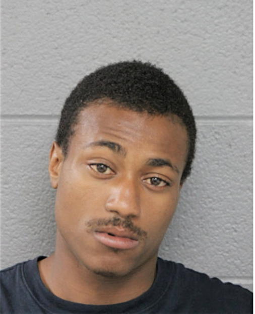 DARYL D JOHNSON, Cook County, Illinois