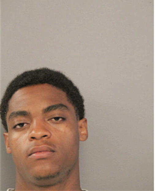JAMES L JOHNSON, Cook County, Illinois